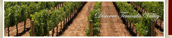 Temecula Wineries Wine